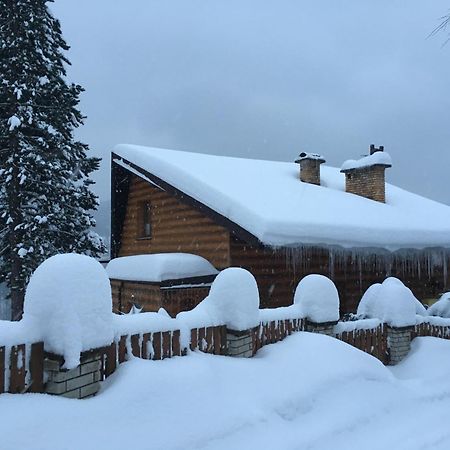 Dom Na Cienkowie Villa Wisła Exteriör bild